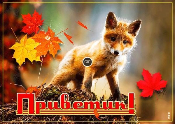 Шлю осенний приветик
