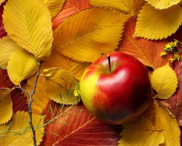 (Осень) желаю вам здоровья