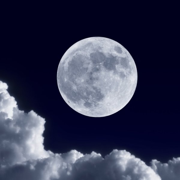 Луна подмигивает картинки