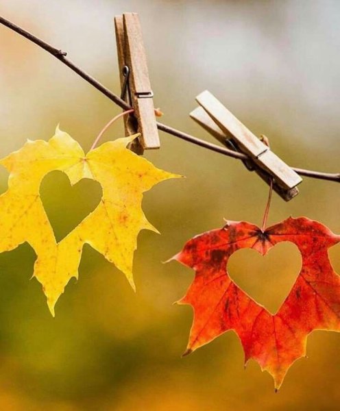 Доброе осеннее утро