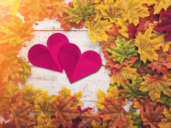 Сердечко из осенних листьев