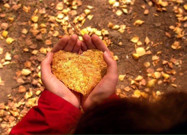 Осеннее богатство