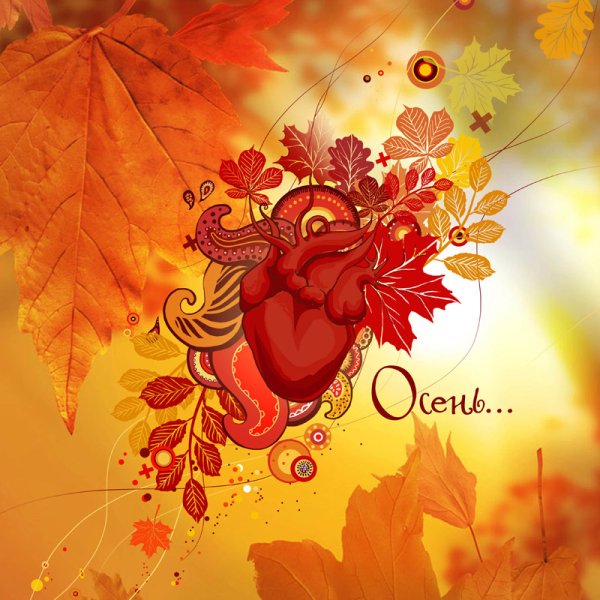 Любимая осень