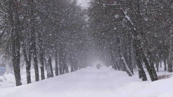 Зима мало снега