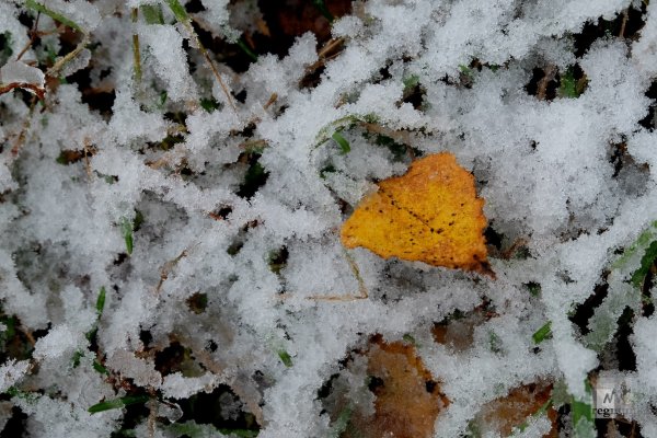 Первый снег в Подмосковье