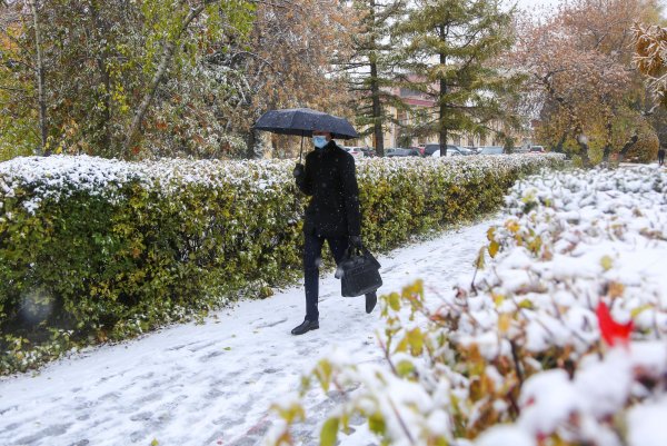 Атмосфера первого снега