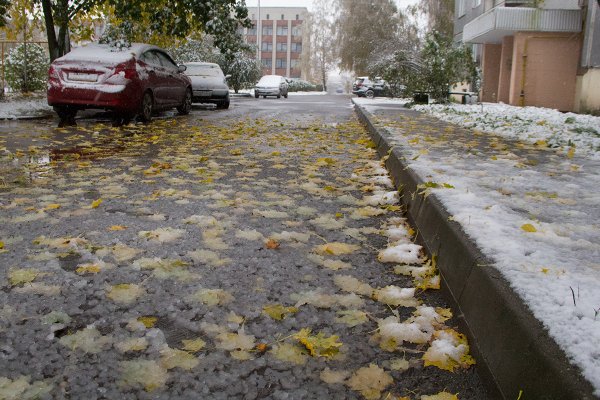 Выпал первый снег