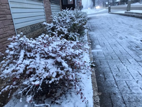 Первый снег