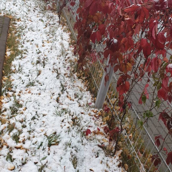 Первый снег Киров