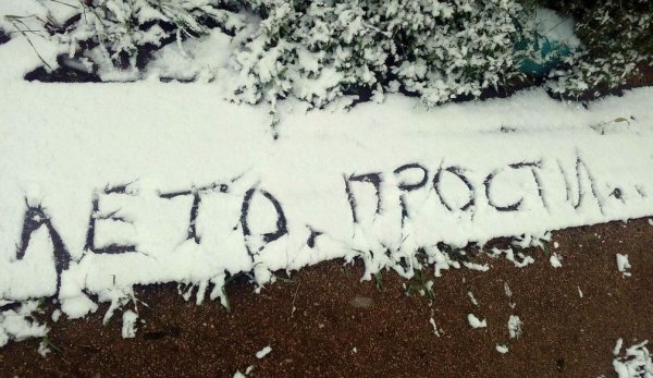 Открытки снег выпал