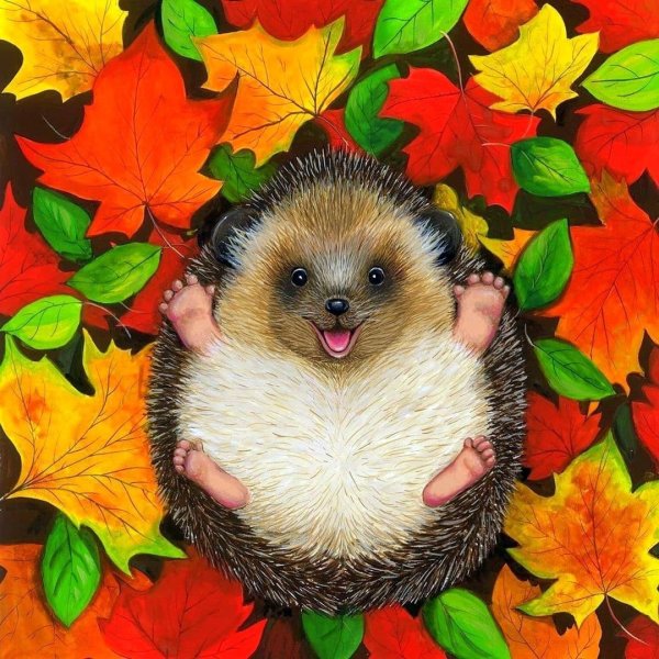 Ежик осенью