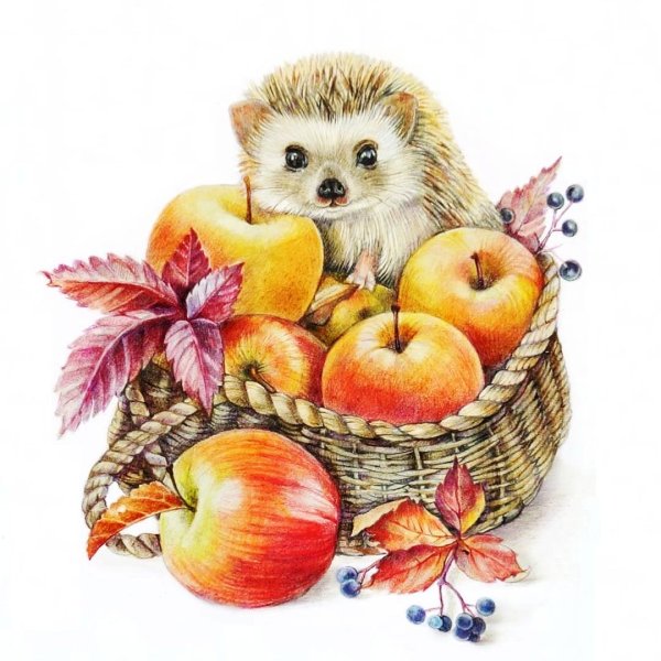 Животные осенью