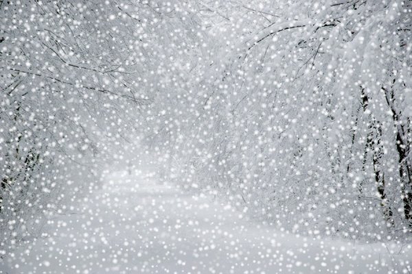 Крупные хлопья снега
