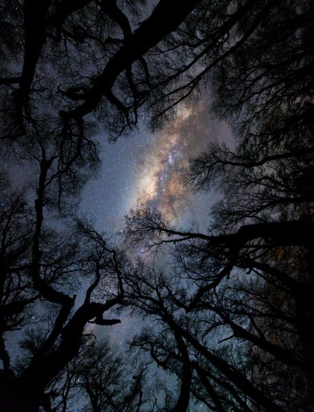 Туманная ночь