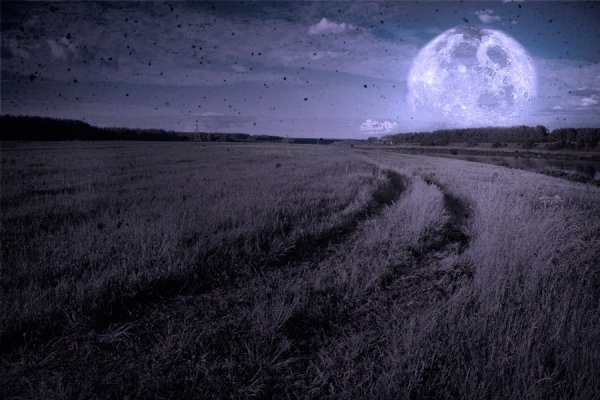 Ночь поле Луна