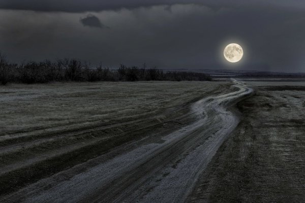 Луна в степи