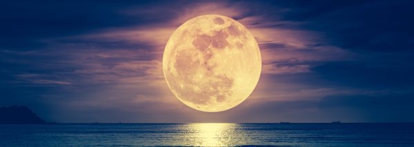 Светлая Луна