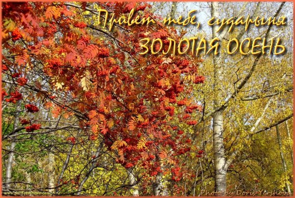 Счастливой осенней субботы