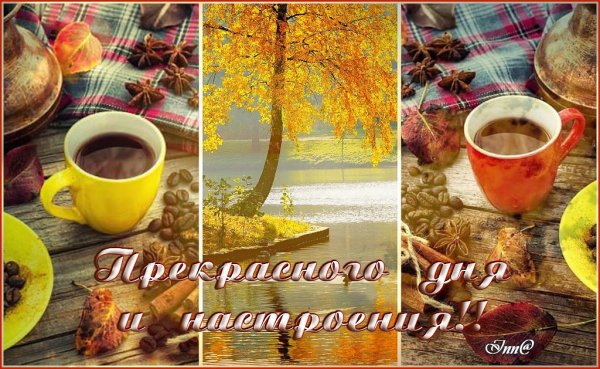 Красивые осенние коллажи с добрым утром