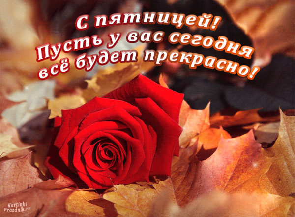Удачной осенней пятницы