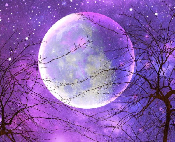 Сиреневая Луна