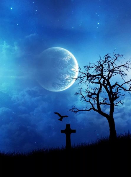 Кладбище в полнолуние
