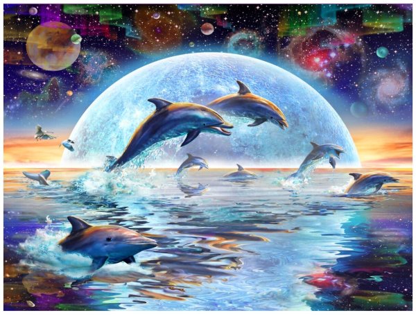 Адриан Честерман дельфины