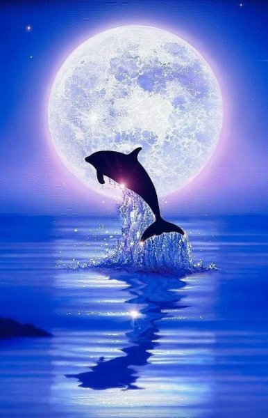 Дельфины в лунном свете