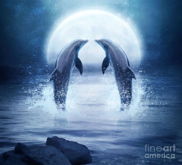 Два дельфина на синем море