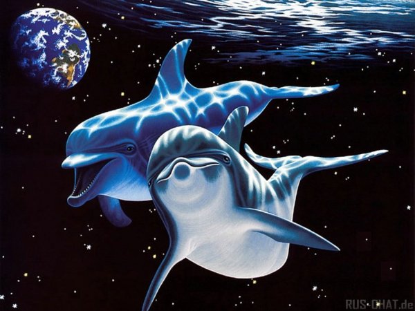 Фиолетовый Дельфин