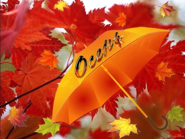 Осенние открытки