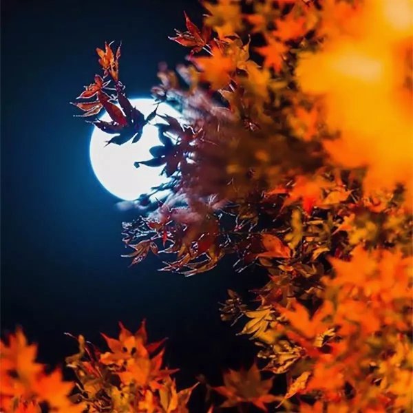 Прекрасной сентябрьской ночи