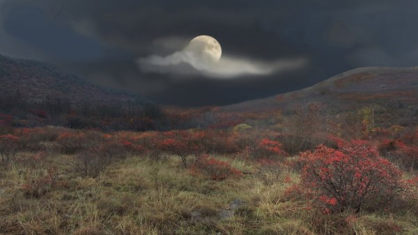 Урожайная Луна картинки