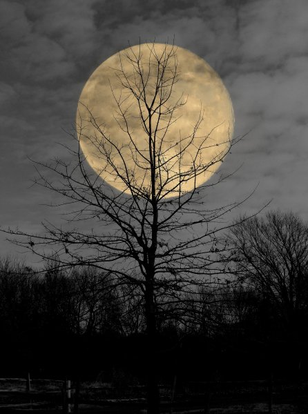 Луна полнолуние