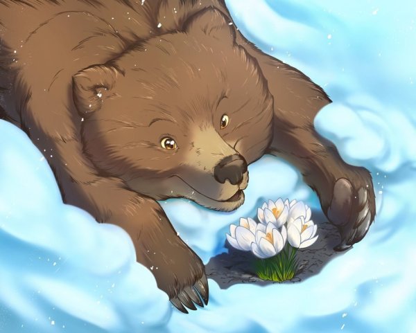 Медведь и подснежники