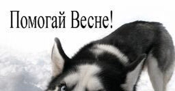 Помогай весне ешь снег картинки