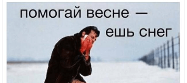 Помоги весне ешь снег