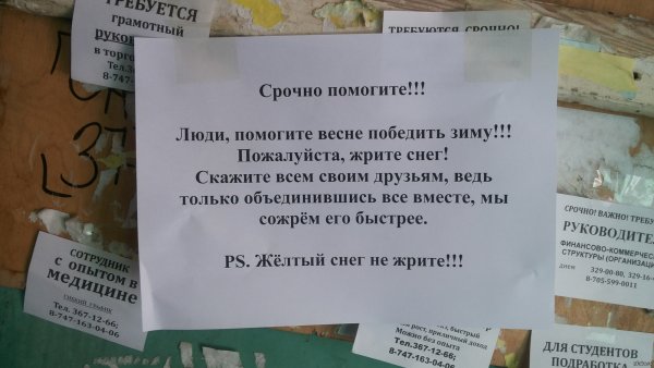 Люди помогите весне победить зиму жрите снег