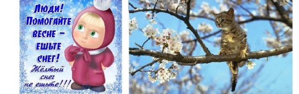 Поможем весне давайте есть снег