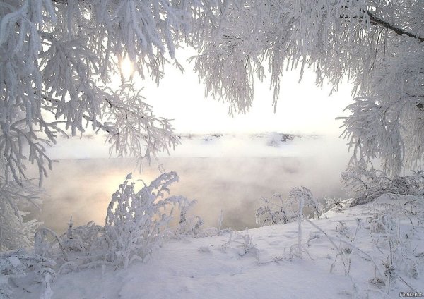 Зимний пейзаж метель