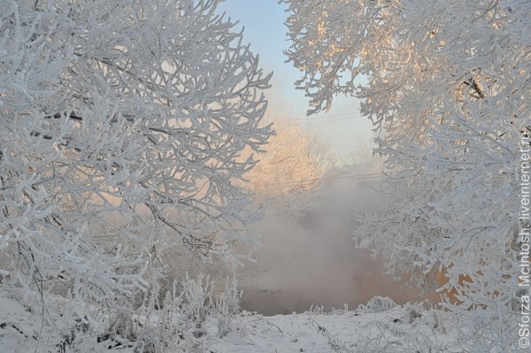Падающий снег
