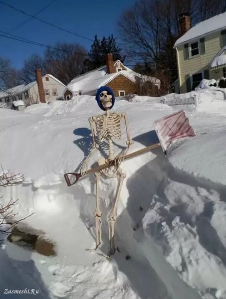 Приколы про зиму