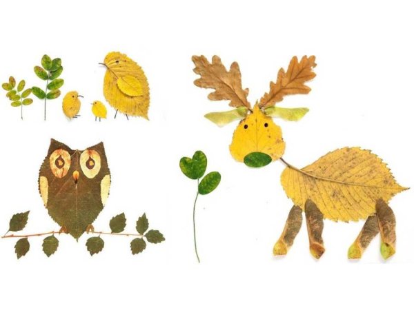 Аппликация из природного материала