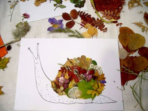 Аппликация из сухих листьев с дорисовкой