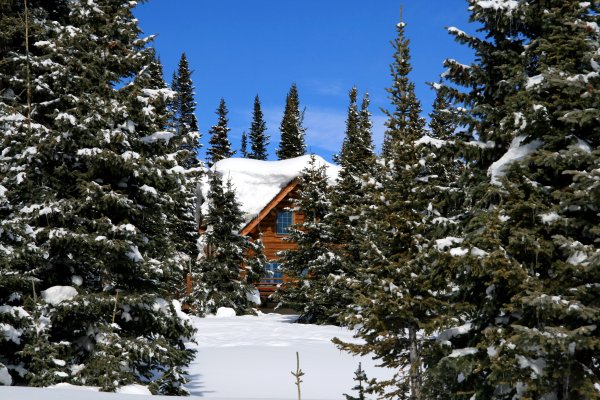 Домик в зимнем лесу