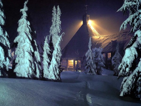 Домик в лесу с гирляндами