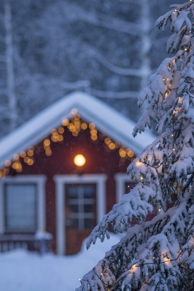 Новогодний домик в лесу