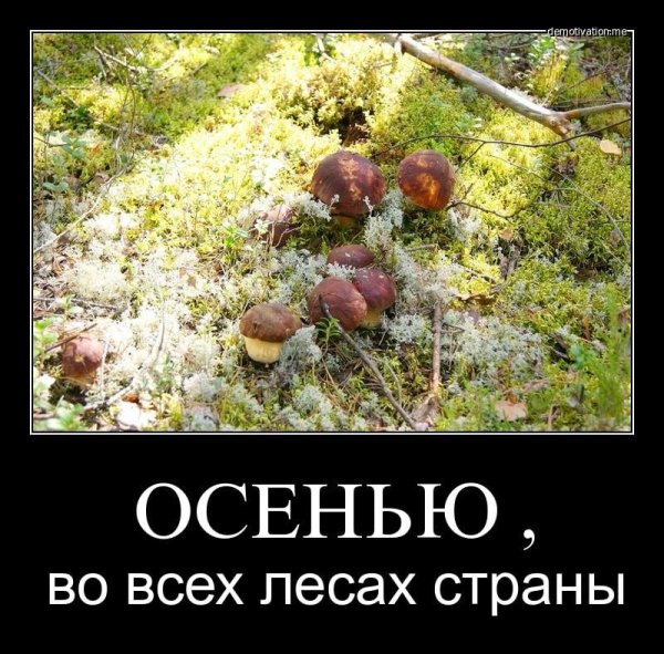 Смешная осень