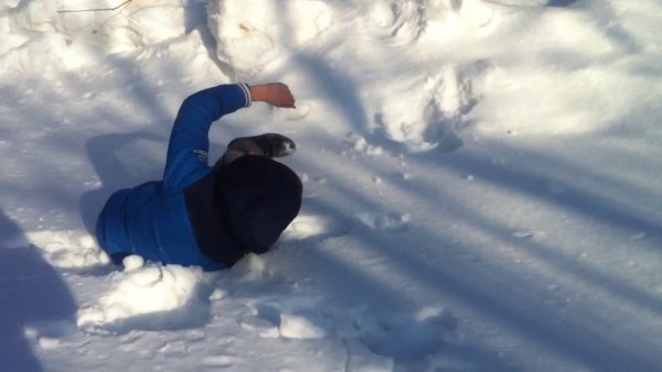 Головой в сугроб