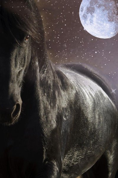 Лошадь и Луна